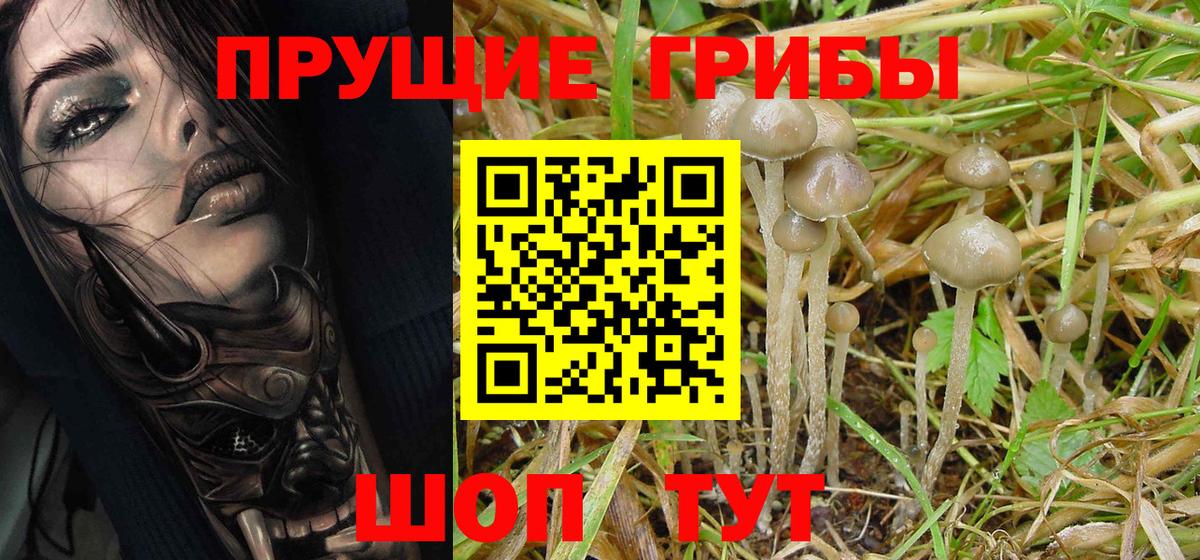 Галлюциногенные грибы GOLDEN TEACHER Арсеньев