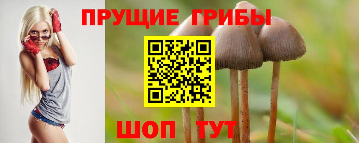 Галлюциногенные грибы MAGIC MUSHROOMS  Галлюциногенные грибы мицелий  Вход с VPN  Арсеньев 